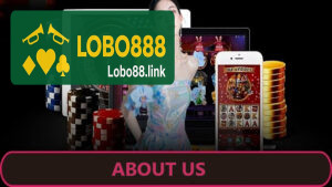 Sobre Nós Lobo888