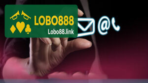Contato Nós Lobo888